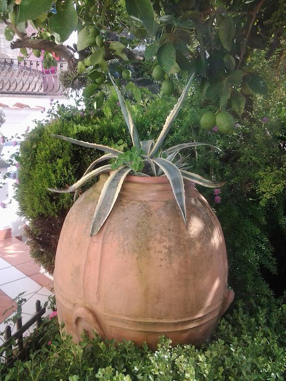 אנה קאפרי B&B Angelide מראה חיצוני תמונה