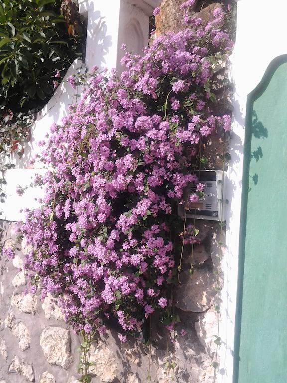 אנה קאפרי B&B Angelide מראה חיצוני תמונה